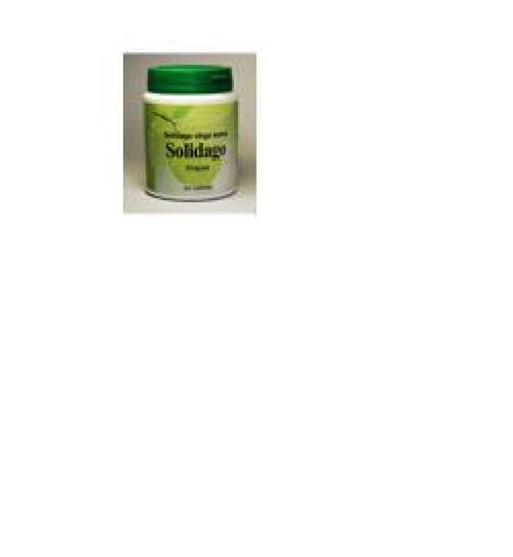 SOLIDAGO 60CPS