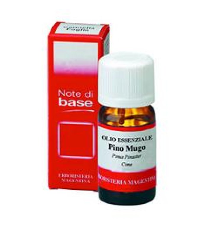 PINO MUGO Olio Ess.10ml ERM PINO MUGO Olio Ess.10ml ERM