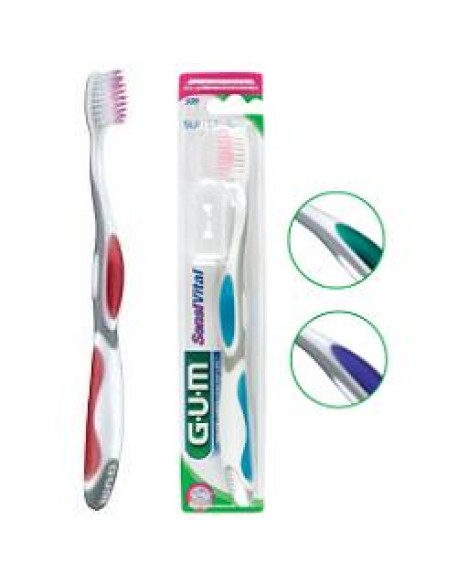 GUM PROXABRUSH DENTIFRICIO 13ML+BIDIRECTION 1PEZZO