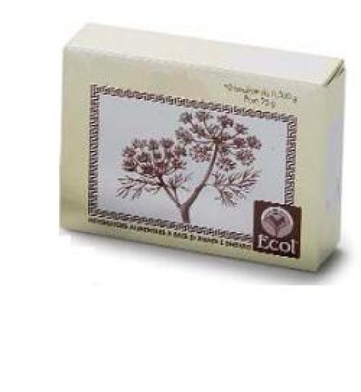 TARASSACO 50 TAV ECOL