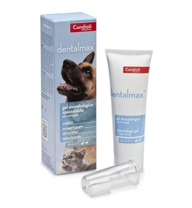 DENTALMAX GEL STOMATOLOGICO 50 ML
