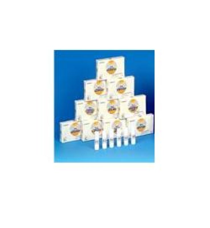 NOMABIT Wild Oat Glob.6g