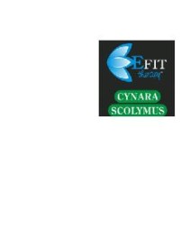 CYNARA E.F. EFIT