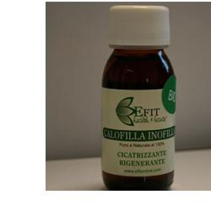 CALOFILLA TAMANU 100ML OLIO EF CALOFILLA TAMANU 100ML OLIO EF