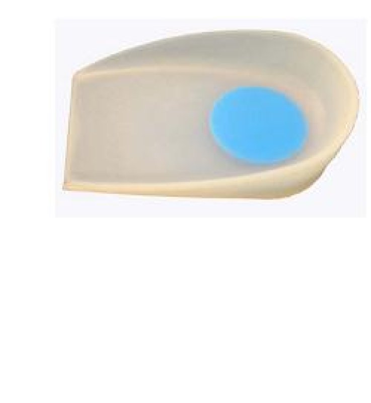 TALLONETTA Sil.Pl.Avv.C/Cusc.M