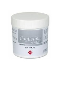 V FLOGESTINA GRIGIA PASTA 1KG(RI