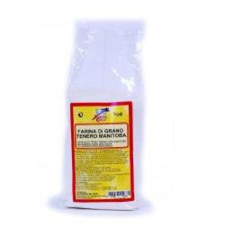 FsC Farina Manitoba 1Kg FsC Farina Manitoba 1Kg