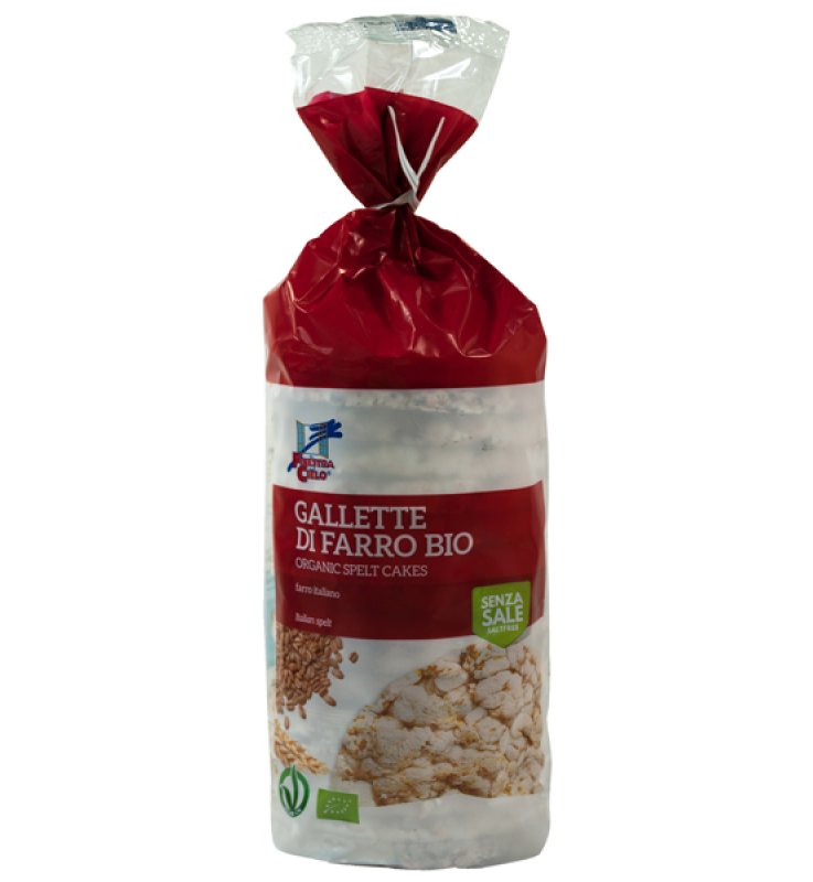 FsC Gallette Farro S/Sale 100g FsC Gallette Farro S/Sale 100g
