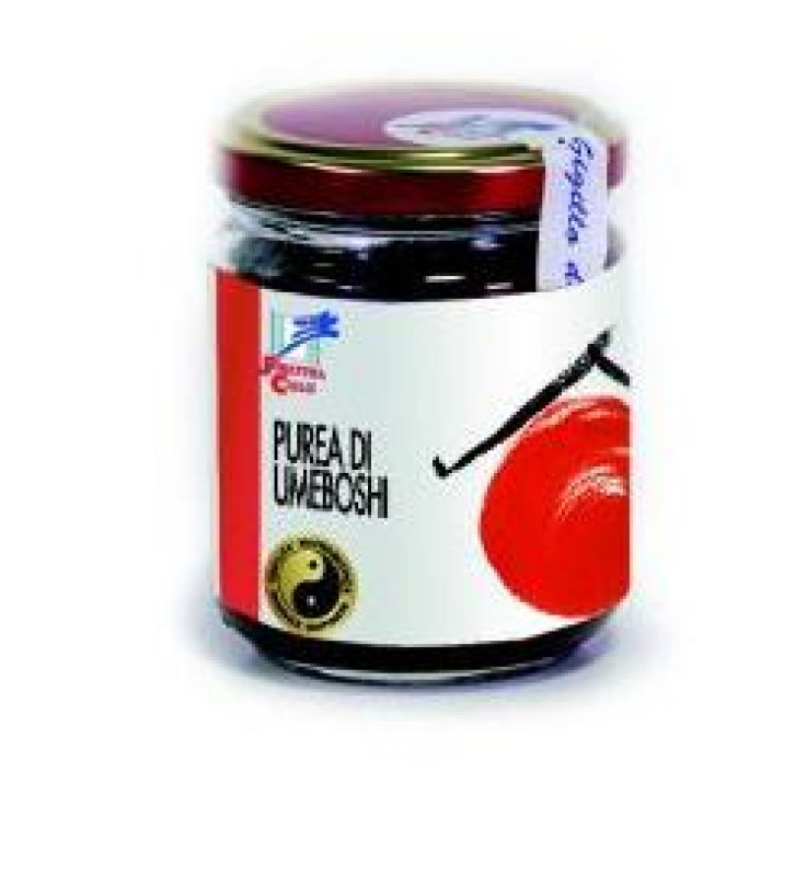 UMEBOSHI RYUJIN PURO 200G FINEST UMEBOSHI RYUJIN PURO 200G FINEST