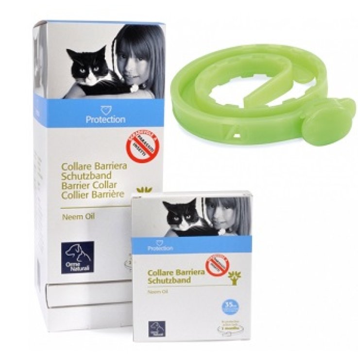 PROTECTION Coll.Barr.Gatto PROTECTION Coll.Barr.Gatto