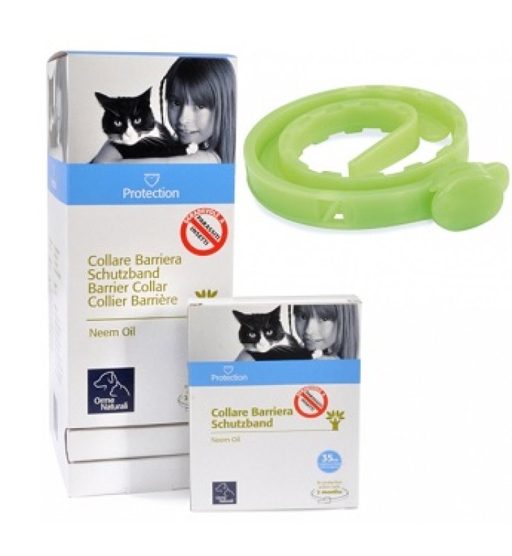 PROTECTION Coll.Barr.Gatto PROTECTION Coll.Barr.Gatto