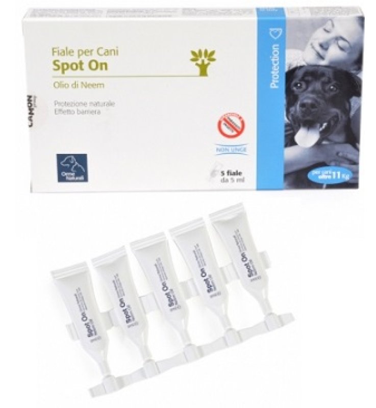 V PROTECTION G912 5PI S.O.CANE+1