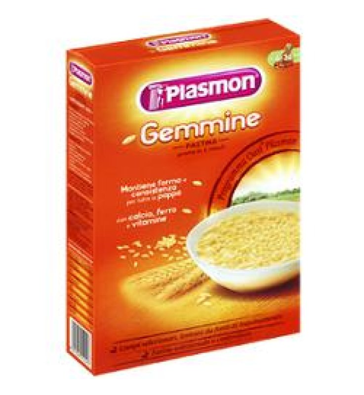 PLASMON GEMMINE 340 G 1 PEZZO