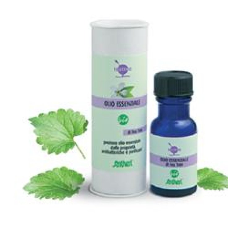 TEA TREE OLIO ESS BIO 15ML TEA TREE OLIO ESS BIO 15ML