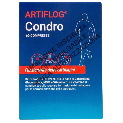 LABORATORIO DELLA FARMACIA ARTIFLOG CONDRO 60 COMPRESSE