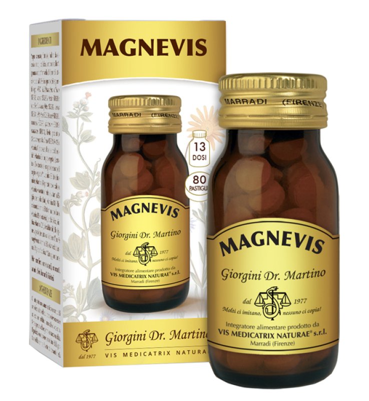 MAGNEVIS 80 Past.SVS MAGNEVIS 80 Past.SVS