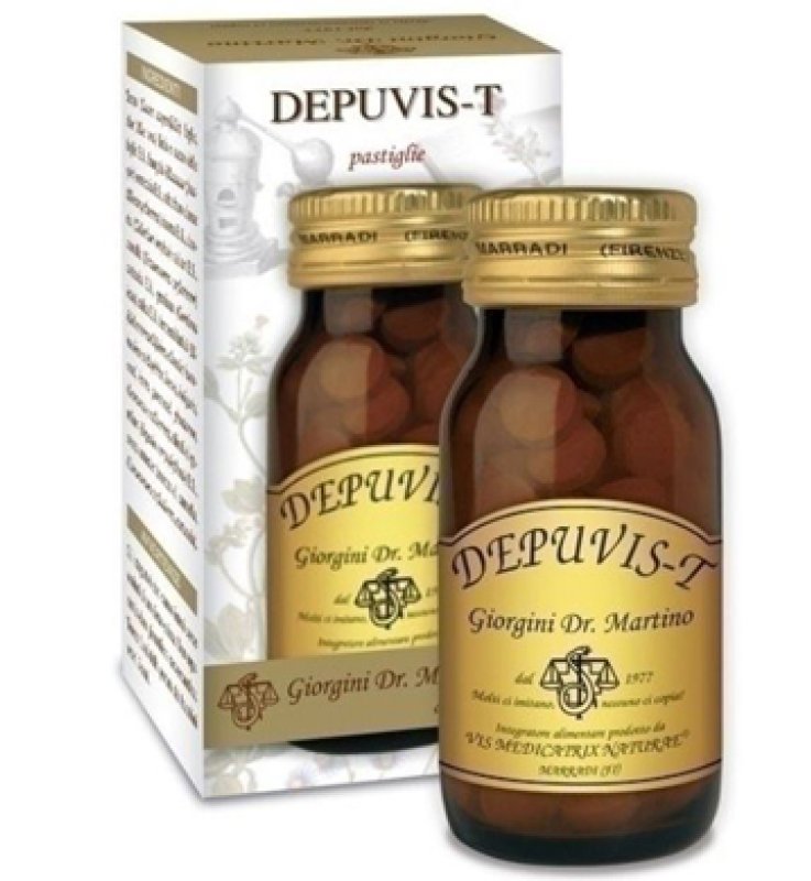 DEPUVIS 80 Past.