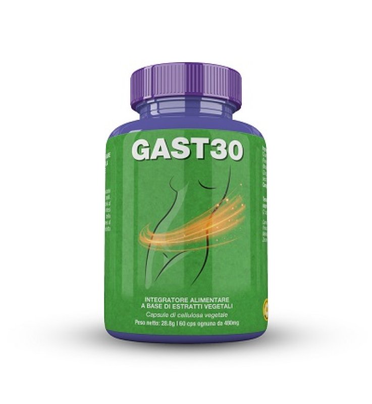GAST 30 60 Cps