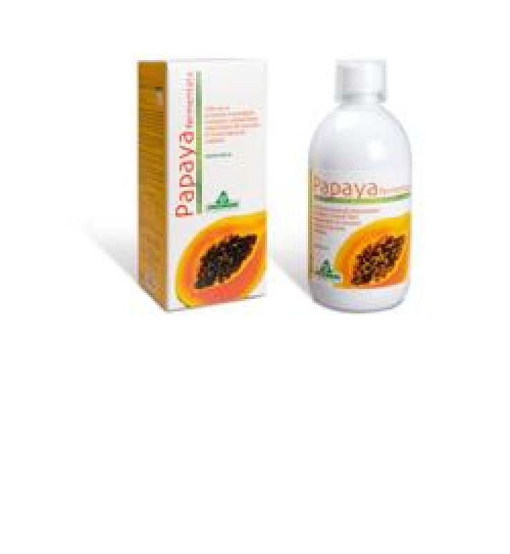 PAPAYA Ferm.Succo 500ml SPECCH