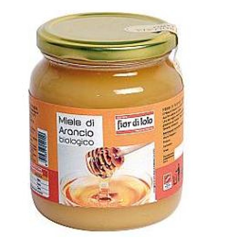 MIELE DI ARANCIO BIO 500 G MIELE DI ARANCIO BIO 500 G