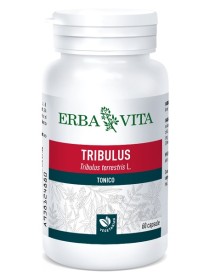 TRIBULUS TERRESTRIS 60 CAPSULE 500 MG