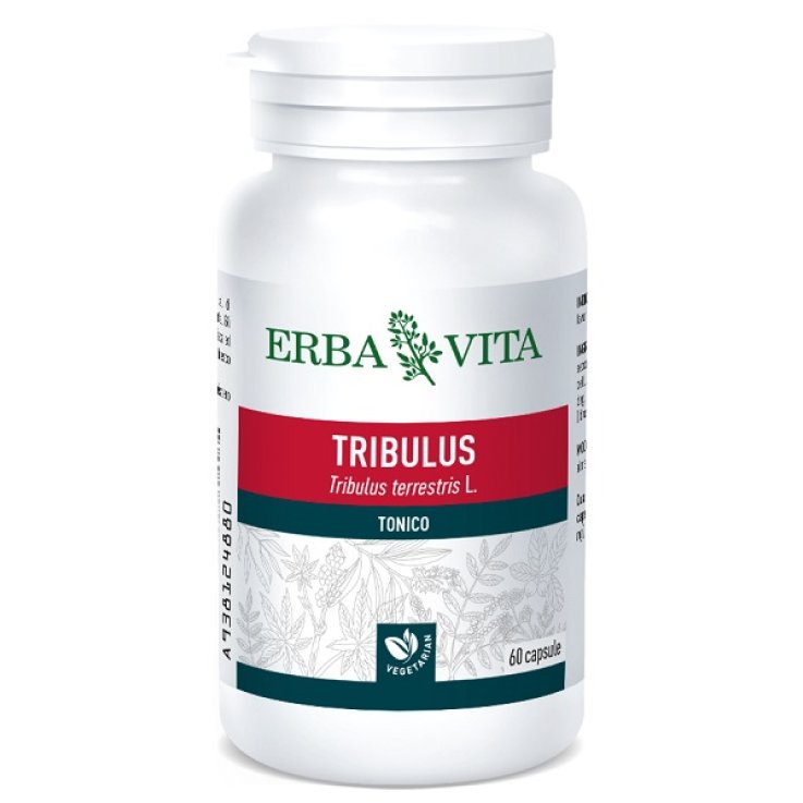 TRIBULUS TERRESTRIS 60 CAPSULE 500 MG TRIBULUS TERRESTRIS 60 CAPSULE 500 MG