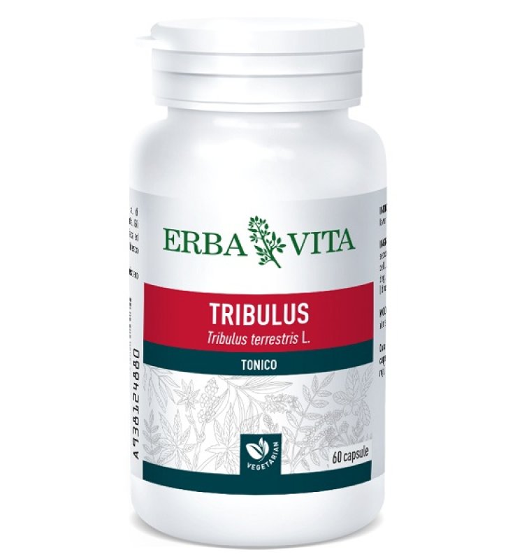 TRIBULUS TERRESTRIS 60 CAPSULE 500 MG TRIBULUS TERRESTRIS 60 CAPSULE 500 MG