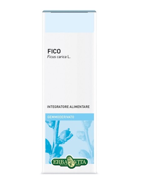 GEMMODERIVATO Fico 50ml    EBV