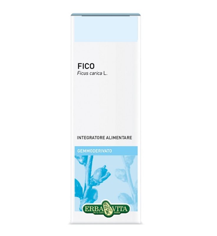 GEMMODERIVATO Fico 50ml    EBV