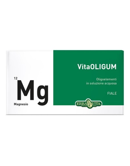 VITAOLIGUM MAGNESIO 20F