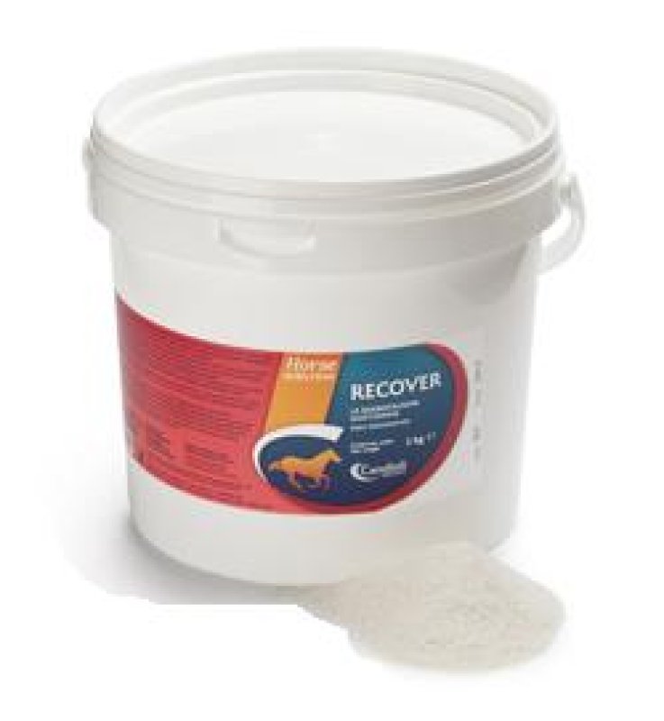 V RECOVER CAVALLI 3KG REIDRATANT