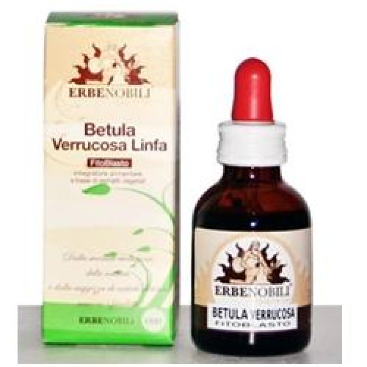 FITOBLASTO BETULLA VERR LIN 50 FITOBLASTO BETULLA VERR LIN 50