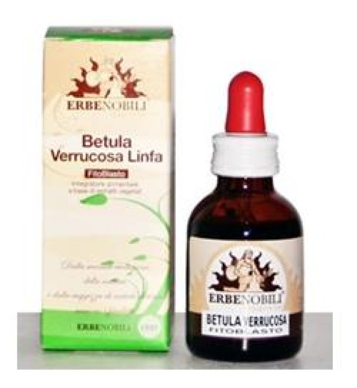 FITOBLASTO BETULLA VERR LIN 50 FITOBLASTO BETULLA VERR LIN 50