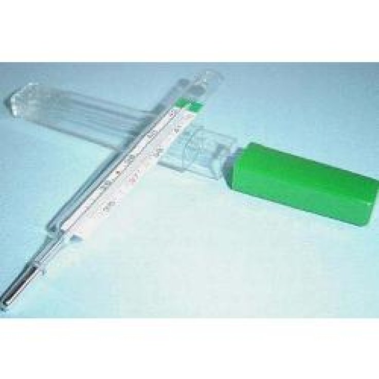 TERMOMETRO ECOLOGICO LINEA F 1 PEZZO TERMOMETRO ECOLOGICO LINEA F 1 PEZZO