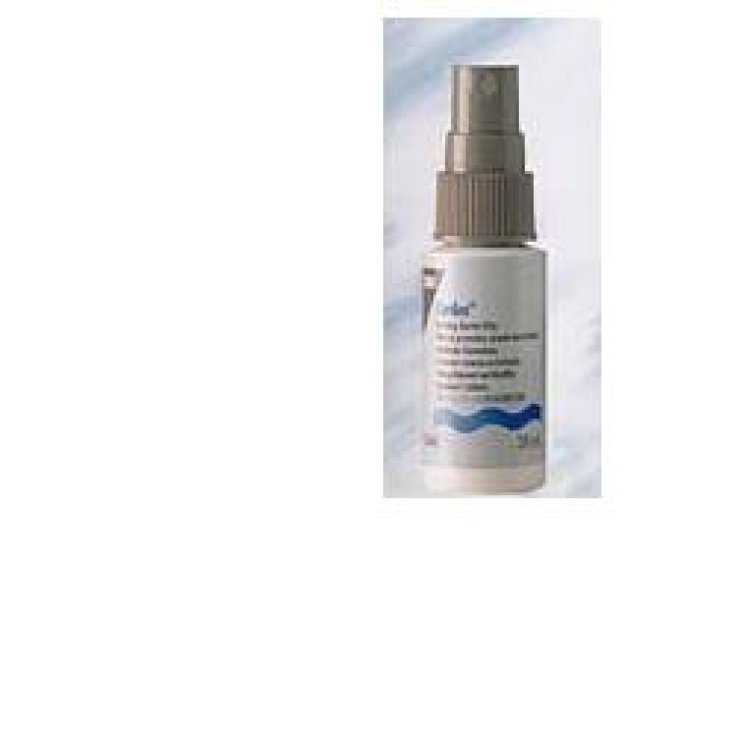 CAVILON SOLUZIONE FILM BARRIERA SPRAY FLACONE 28 ML CAVILON SOLUZIONE FILM BARRIERA SPRAY FLACONE 28 ML