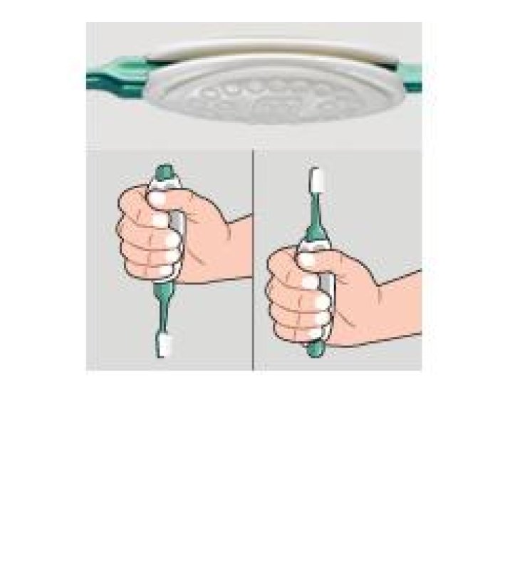 TEPE IMPUGNATURA SPAZZ 1PZ