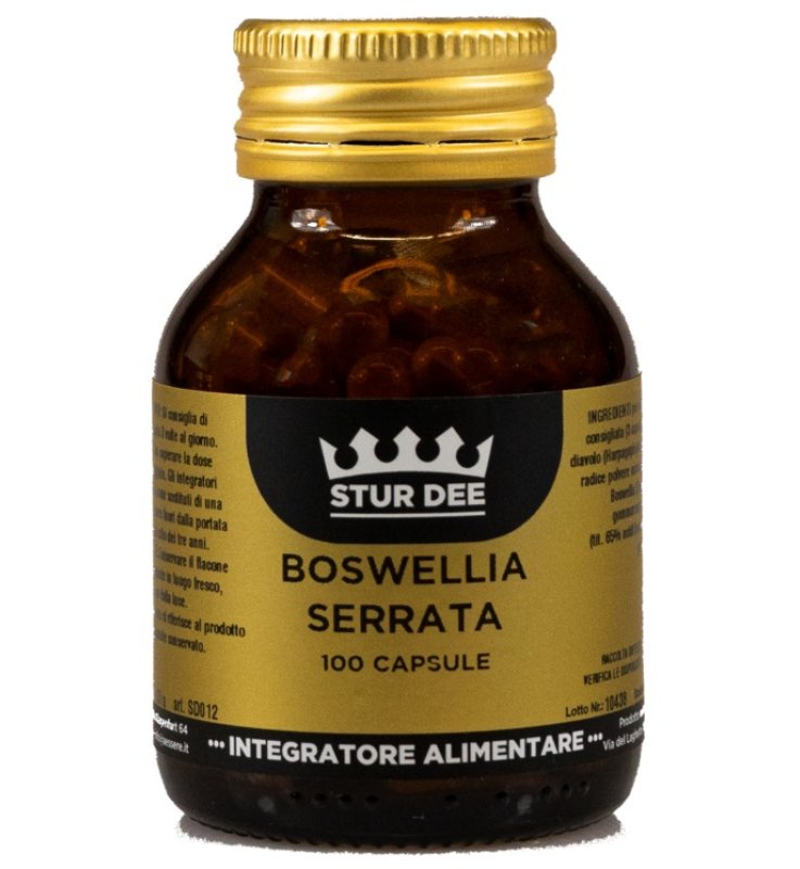 BOSWELLIA SERRATA 100 CAPSULE BOSWELLIA SERRATA 100 CAPSULE