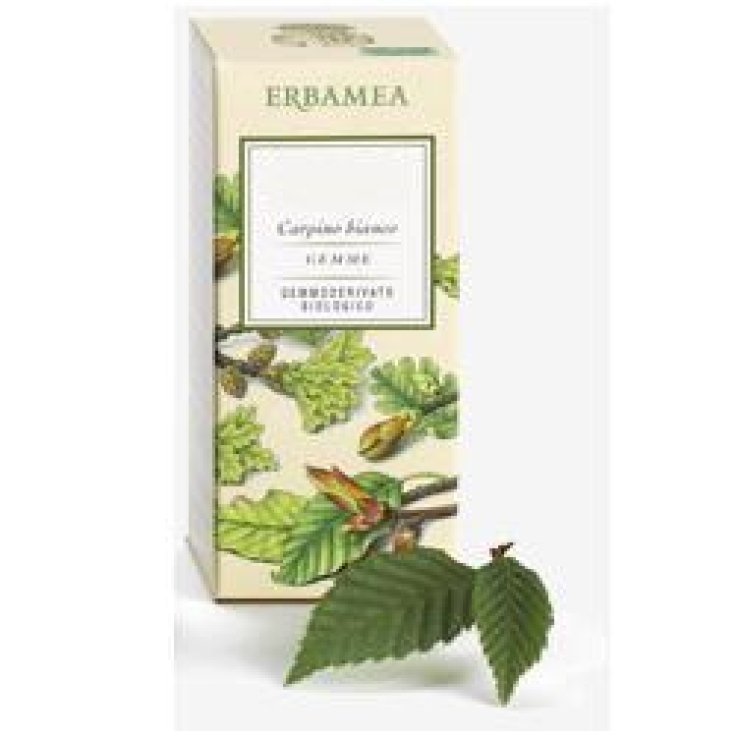 FICUS CARICA Gemme EBM FICUS CARICA Gemme EBM