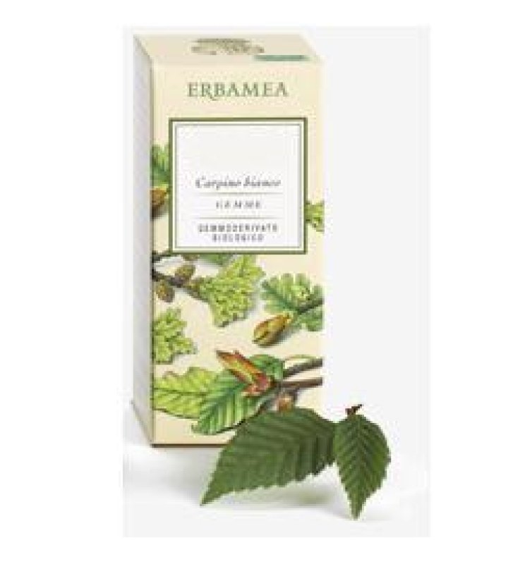 FRAXINUS EXCELS GEMME ERBAMEA GE FRAXINUS EXCELS GEMME ERBAMEA GE