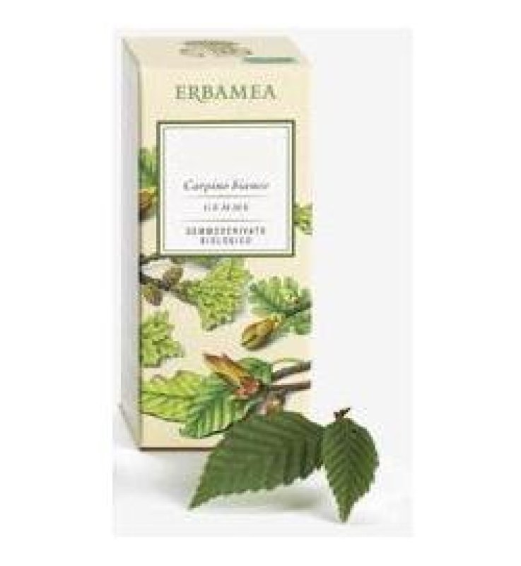 TILIA TORMENGEMME GEMMODE ERBAM TILIA TORMENGEMME GEMMODE ERBAM