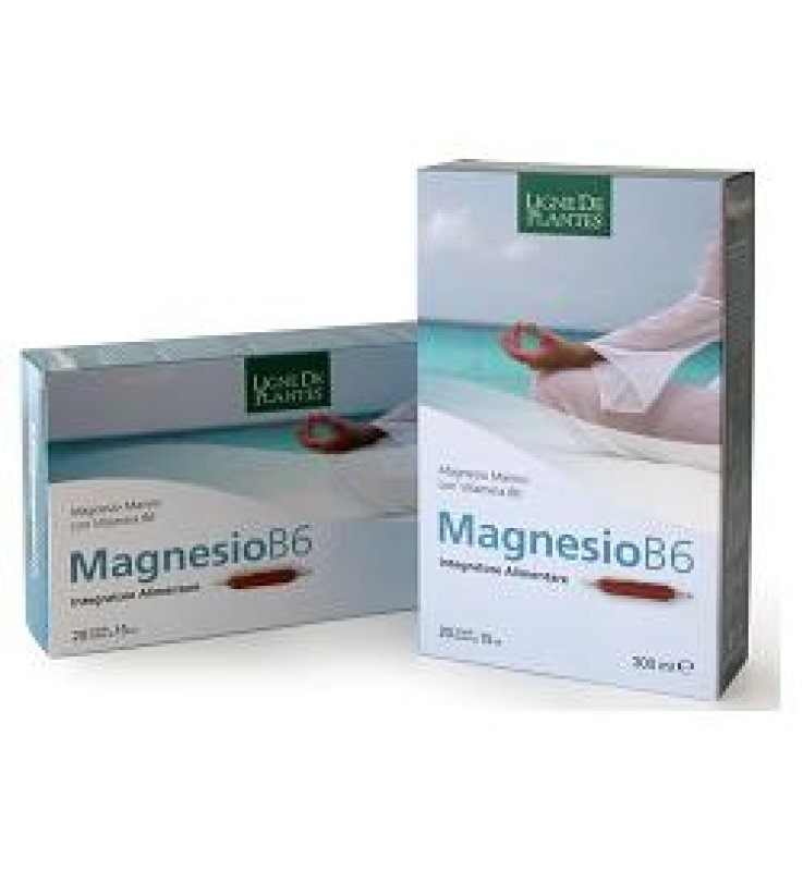 MAGNESIO B6 20AB 15ml N-S