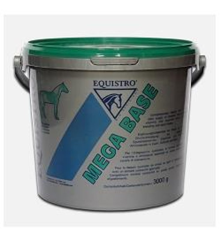 V EQUISTRO MEGA BASE 3KG