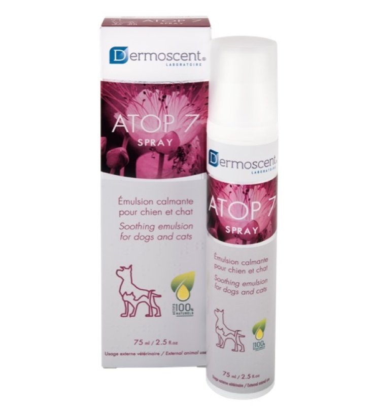 ATOP 7 Spray Cane 75ml