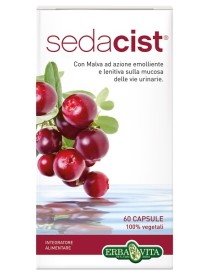 SEDACIST 60 CAPSULE 500 MG