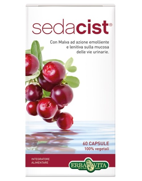 SEDACIST 60 CAPSULE 500 MG