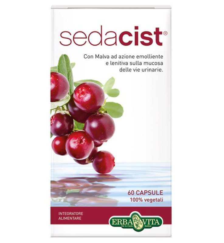 SEDACIST 60 CAPSULE 500 MG