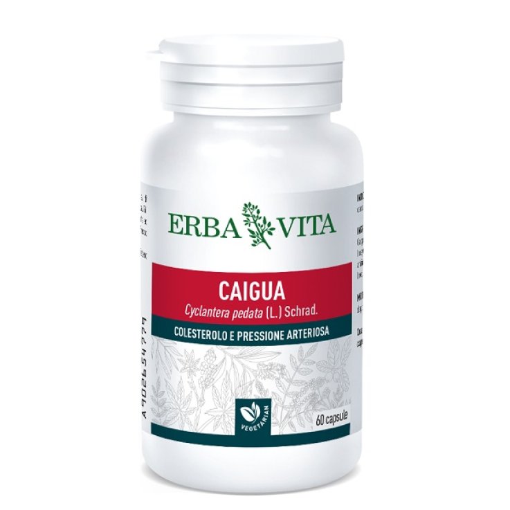CAIGUA 60 Cps 400mg EBV CAIGUA 60 Cps 400mg EBV