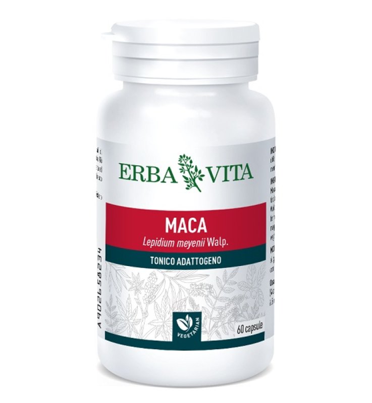 MACA 60 CAPSULE 400 MG