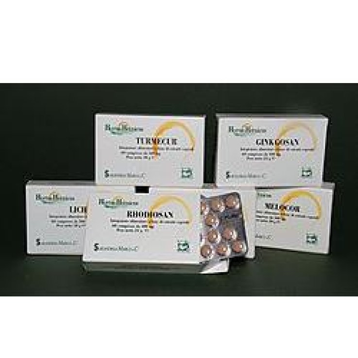 GINKGOSAN 60 COMPRESSE 400 MG GINKGOSAN 60 COMPRESSE 400 MG