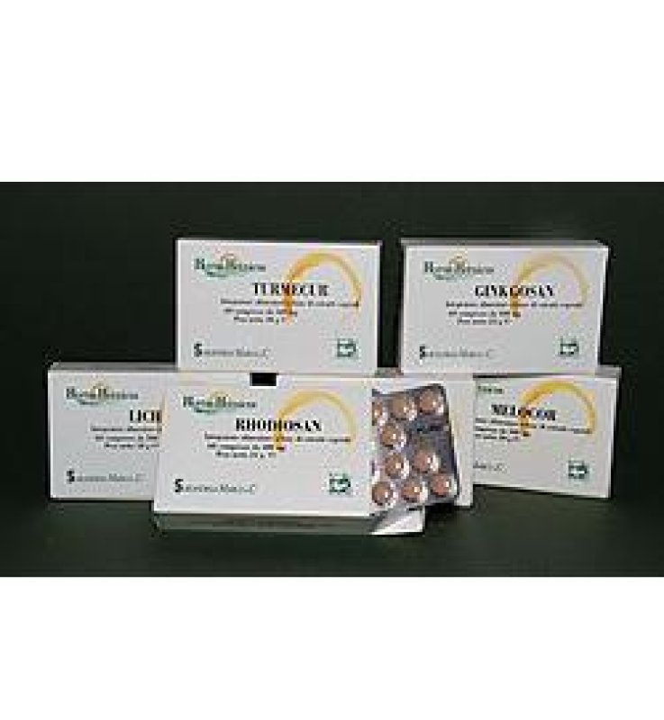 GINKGOSAN 60 COMPRESSE 400 MG